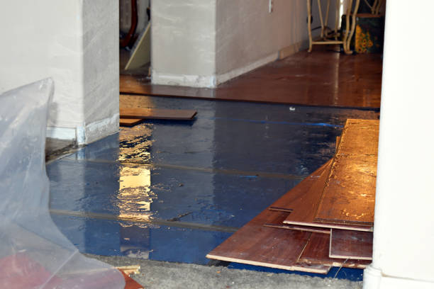 Professional Basement Flood Cleanup technician working in Bim, WV